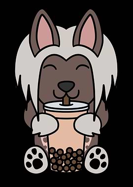 Chinese Crested Boba