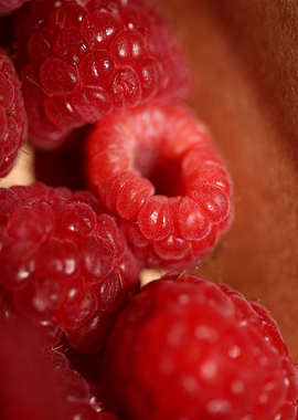 Red raspberries fruits
