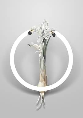 Iris Persica Flower Circle