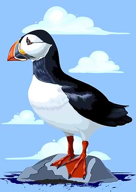 Puffin Atlantic Seabird