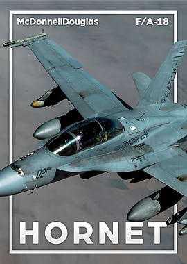 FA18 Hornet NAVY
