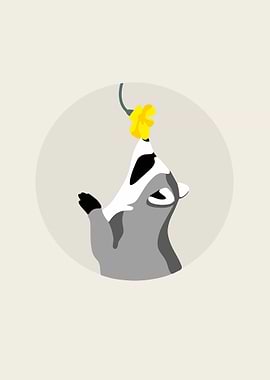 raccoon smelling flower