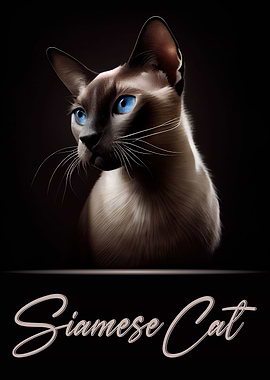 Siamese Cat Portrait