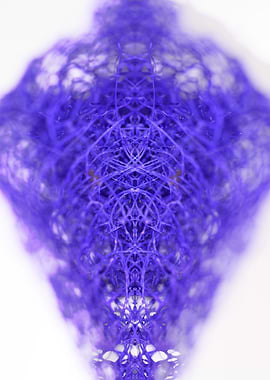 Flower natural potpourries