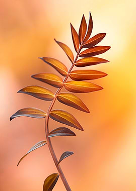 Colorful decorative leaf