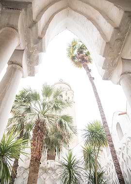 Duomo di Amalfi Garden 2