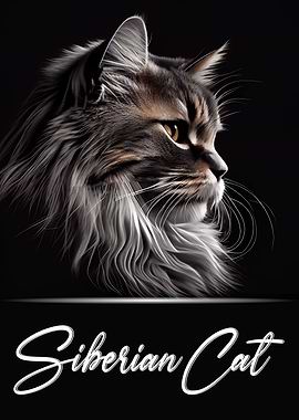 Adorable Siberian Cat