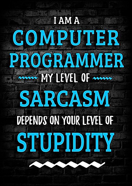 Programmer