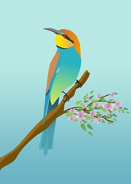 European bee eater