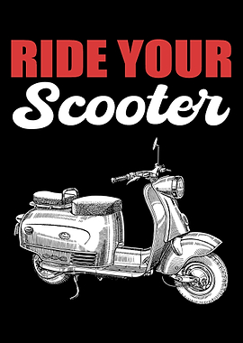 Ride your Scooter Traveler
