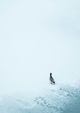 beautiful wedding ceremony