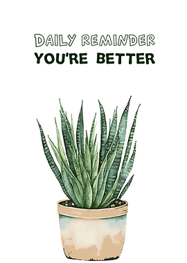 Hawortia Plant Quote