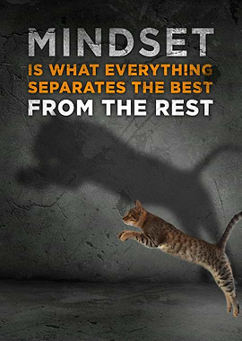 The Best Mindset