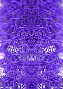 Potpourri roots abstracts