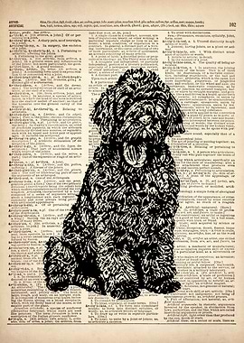 Labradoodle DOG ART