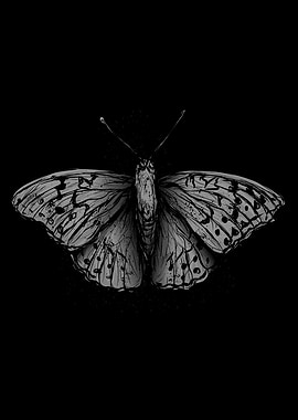Butterfly Black and White