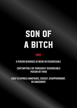 son of bitch definition