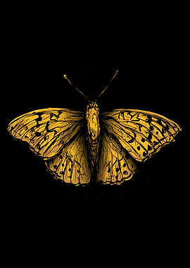 Butterfly Orange Moody