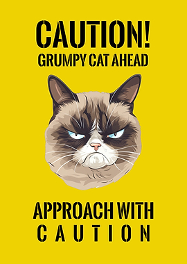 Caution Grumpy Cat Ahead