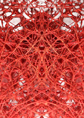 Potpourri roots abstracts