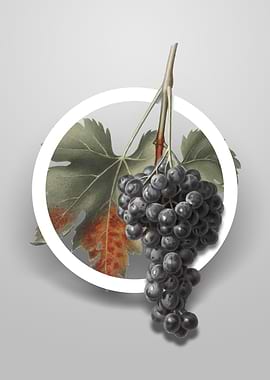 Raisin Grape Flower Circle