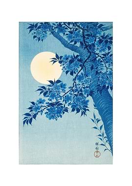 Cherry Blossom Japan