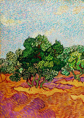 Olive Trees Van Gogh 1889