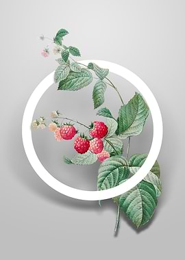 Vintage Red Berries Flower