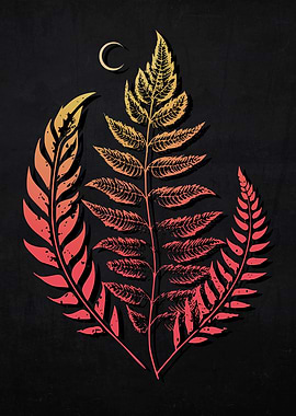 Magic Witch Fern Colors