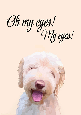 Dog Oh my eyes My eyes