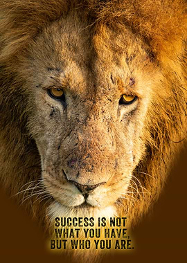 Success is not what you