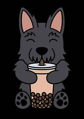 Scottish Terrier Boba