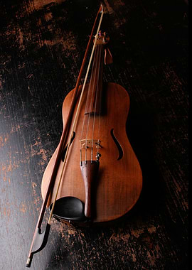 musical instrument violin