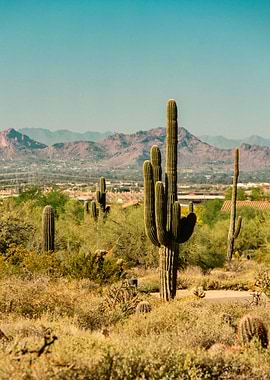 the great nature desert