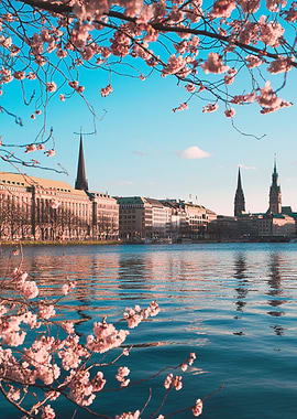 Binnenalster Hamburg
