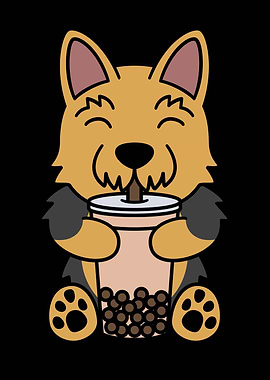 Yorkshire Terrier Boba