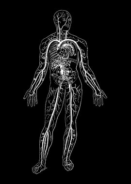 Osteopath Chiropractor Art