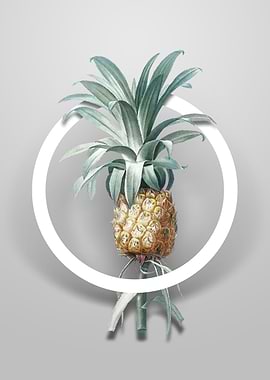 Vintage Pineapple Flower