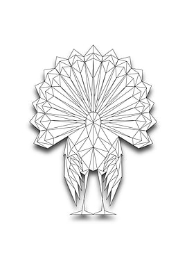 Turkey Lowpoly Wireframe