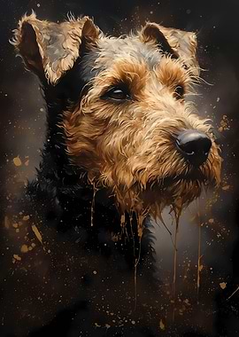 Welsh Terrier Dog Precious