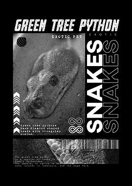 Green Tree Python Modern