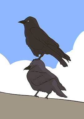 two crows