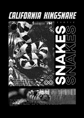 California Kingsnake