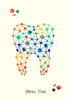 Molar Tooth