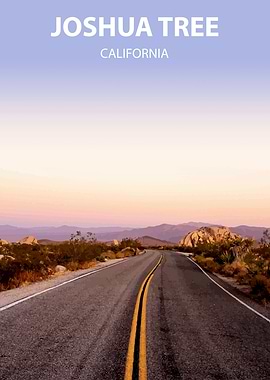 Joshua Tree California