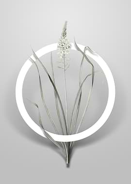 Wild Asparagus Flower Art