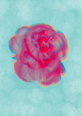 Japanese cherry blossom