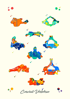 Cervical Vertebrae