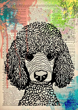 POODLE DOG ILLUSTRATION