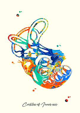 Cochlea of Inner ear